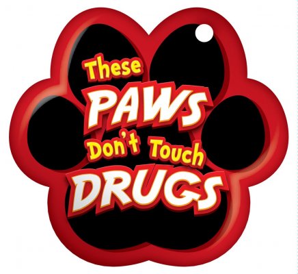 Herrins paws dont touch drugs.