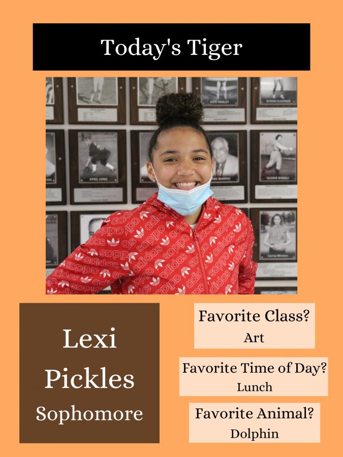 Lexi Pickles - Todays Tiger