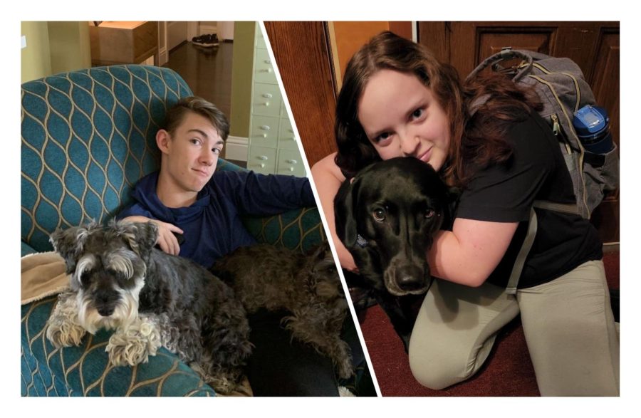 Grant and Kadie pose with their pets.