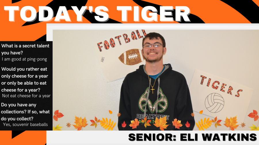 Todays Tiger: Senior