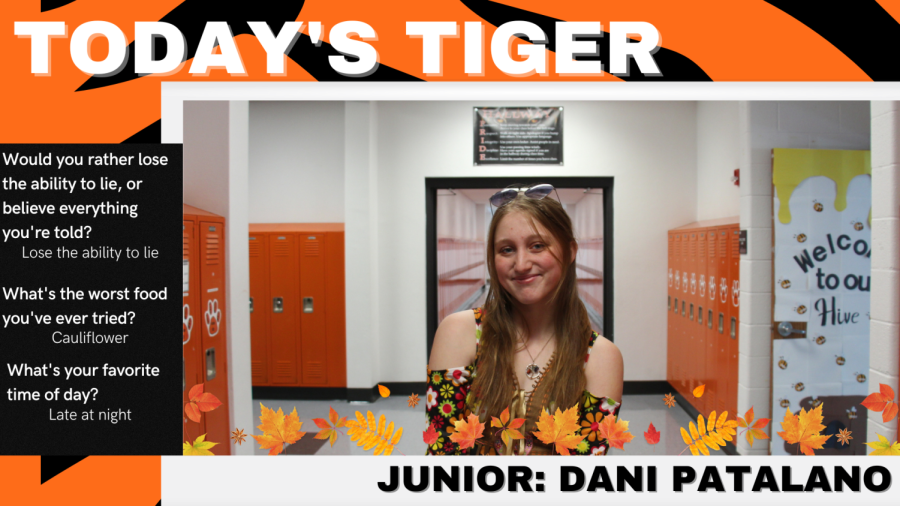 Todays Tiger: Junior