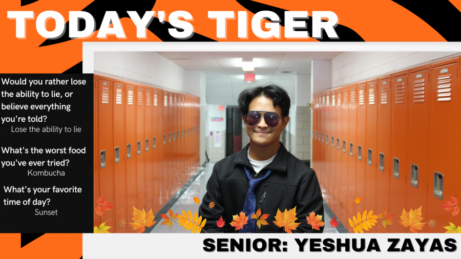 Todays Tiger: Senior