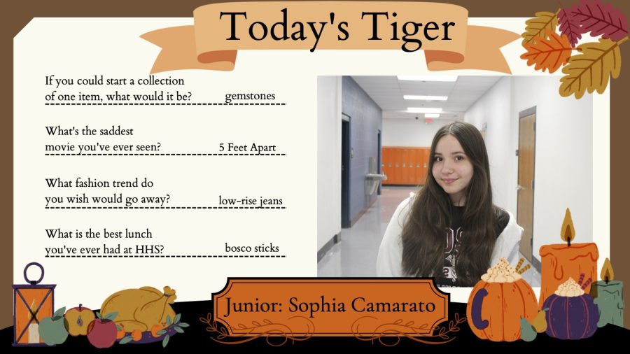 Todays+Tiger%3A+Junior