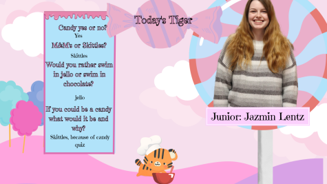 Todays Tiger: Junior
