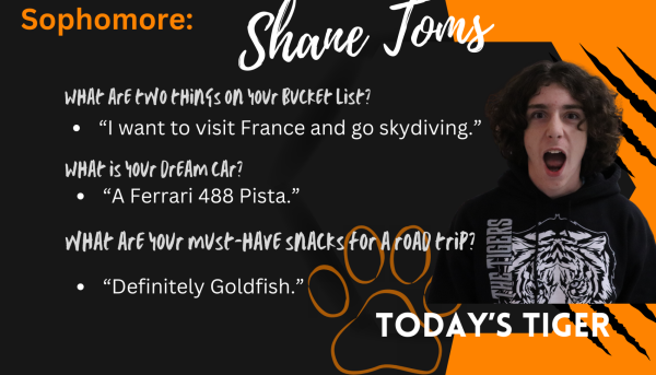 Shane Toms