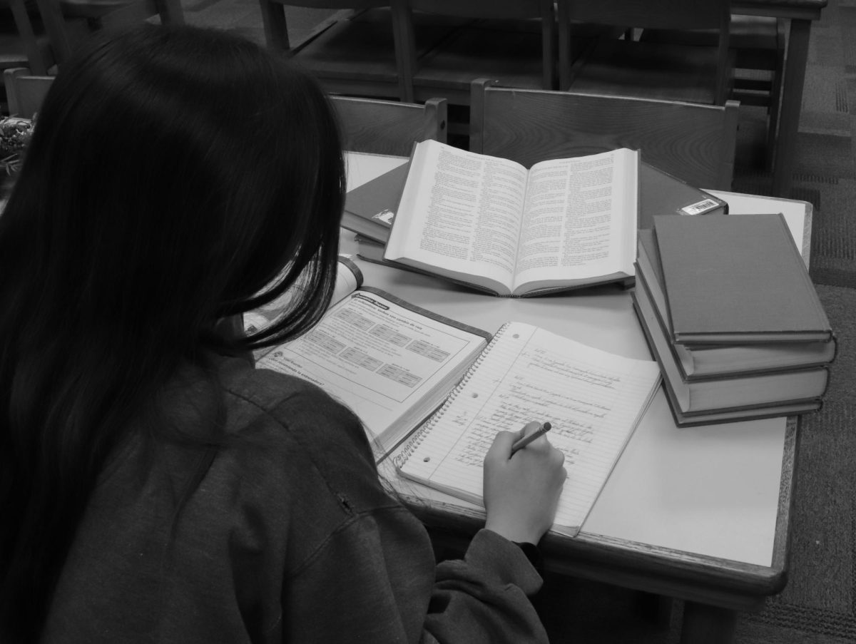 An HHS student studies for her final exams in the library.