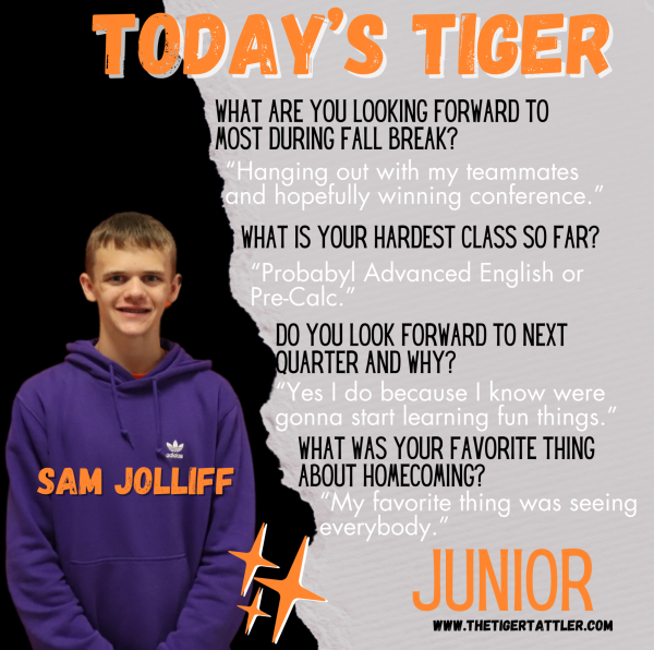 Today's Tiger: Junior