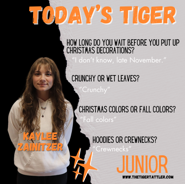 Today's Tiger: Junior