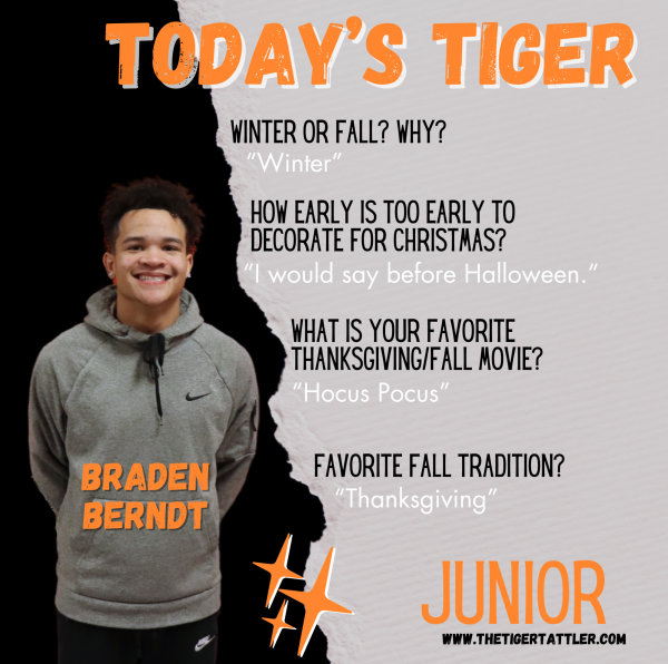 Today's Tiger: Junior