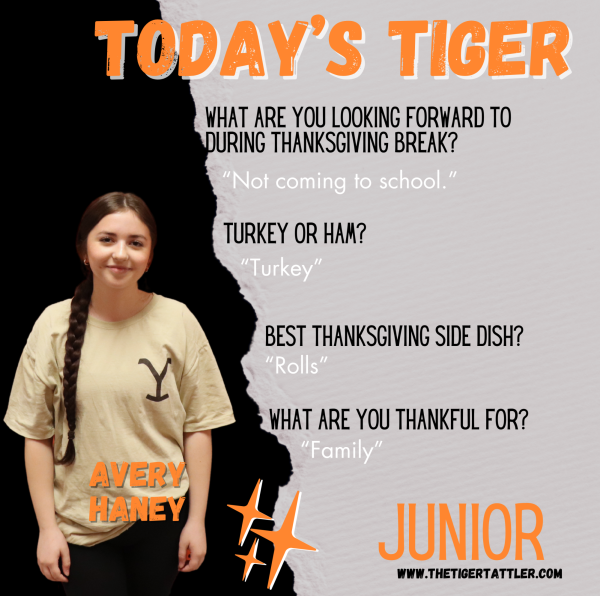 Today's Tiger: Junior