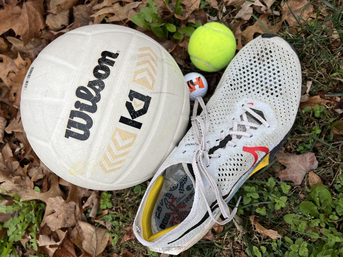 A volleyball, tennis ball, and golf ball rest in the fall leaves accompanied by a shoe fit for a runner. 
