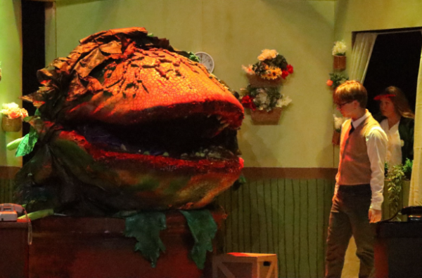 A titular scene of the show, featuring the largest model of Audrey II and Seymour Krelbourn. (Holdyn Westberry, [11])