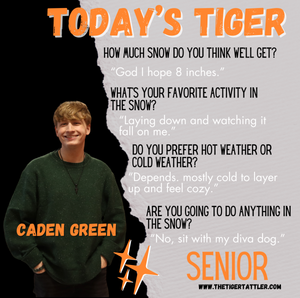 Today's Tiger: Senior