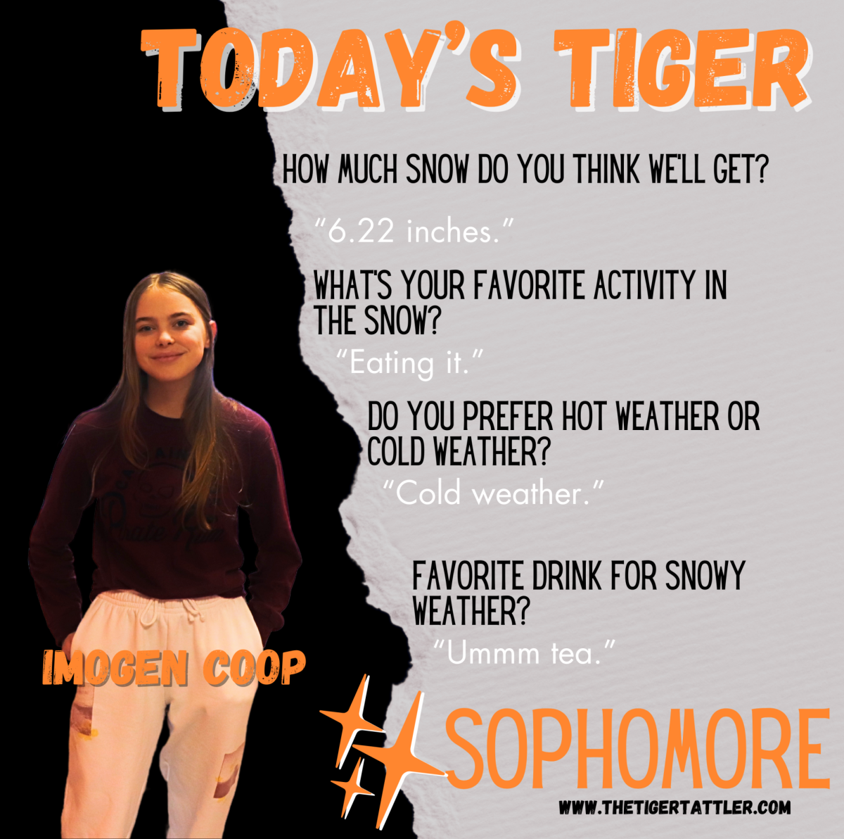 Today's Tigers: Sophomores