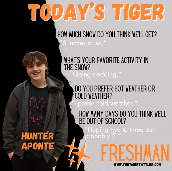 Today's Tiger: Freshman