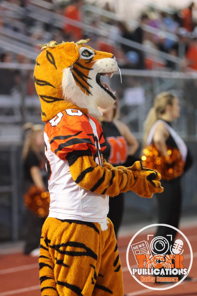 Homecoming Week Madness: A Recap