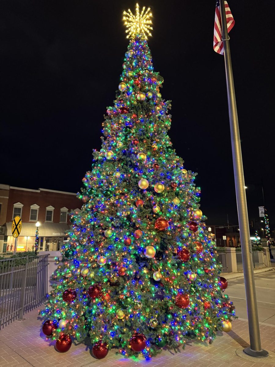  Herrin’s giant city Christmas tree shines brightly in the middle of town 
