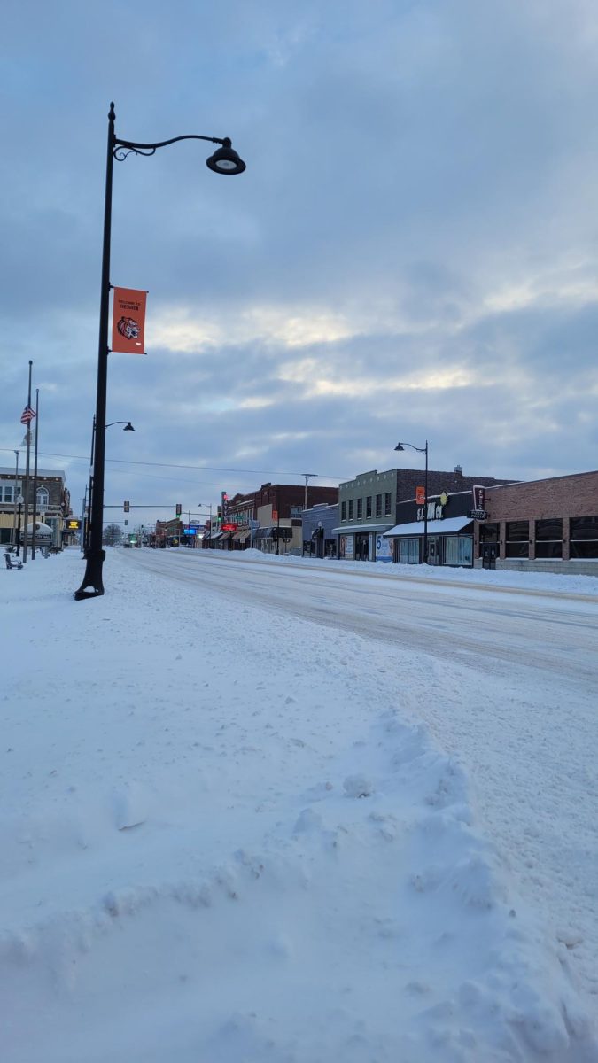 An image of the emptiness of downtown Herrin as Winter Storm Fern impacted the area